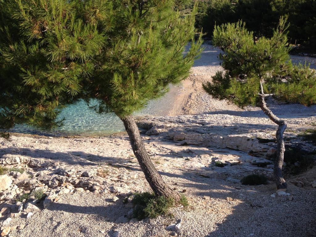 Villa Lorenta Apartments Primošten Oda fotoğraf