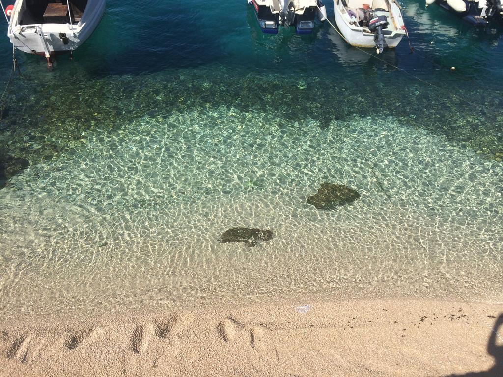 Villa Lorenta Apartments Primošten Dış mekan fotoğraf