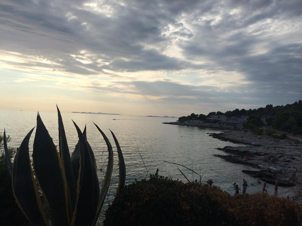 Villa Lorenta Apartments Primošten Dış mekan fotoğraf