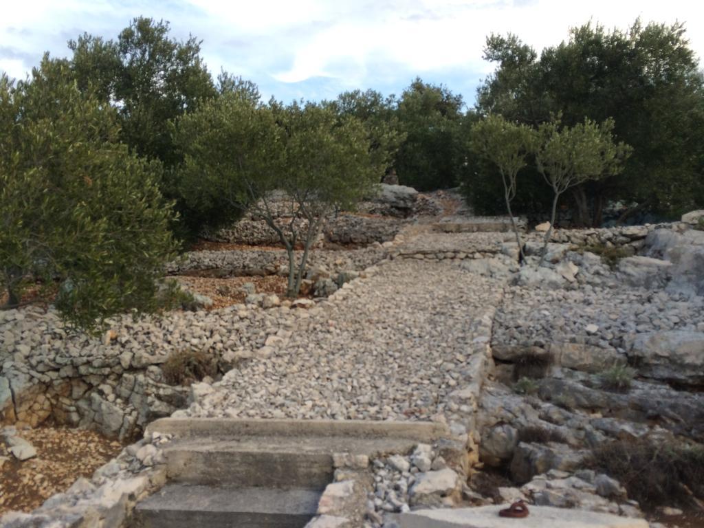 Villa Lorenta Apartments Primošten Dış mekan fotoğraf